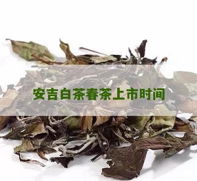 安吉白茶春茶上市时间