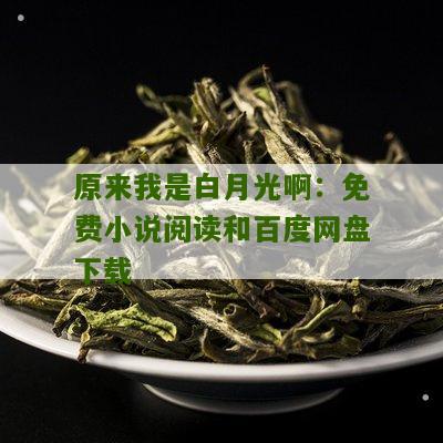 原来我是白月光啊：免费小说阅读和百度网盘下载