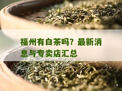 福州有白茶吗？最新消息与专卖店汇总