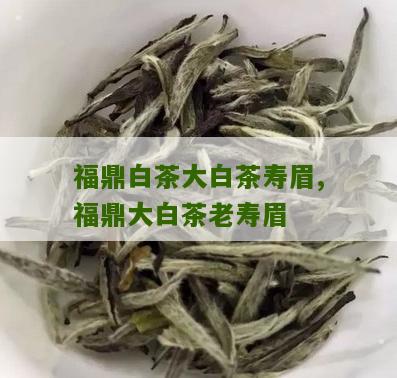 福鼎白茶大白茶寿眉,福鼎大白茶老寿眉