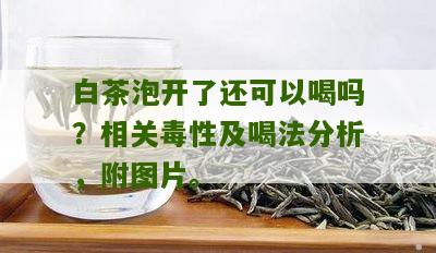 白茶泡开了还可以喝吗？相关毒性及喝法分析，附图片。