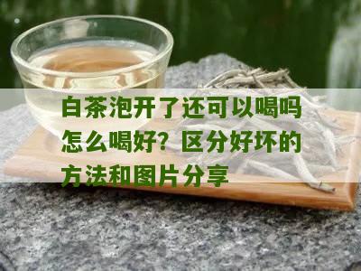 白茶泡开了还可以喝吗怎么喝好？区分好坏的方法和图片分享