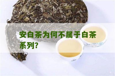 安白茶为何不属于白茶系列？