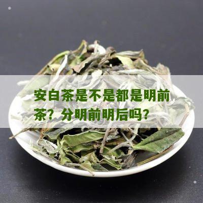 安白茶是不是都是明前茶？分明前明后吗？