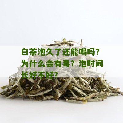 白茶泡久了还能喝吗？为什么会有毒？泡时间长好不好？