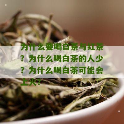 为什么要喝白茶与红茶？为什么喝白茶的人少？为什么喝白茶可能会上火？