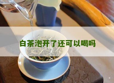 白茶泡开了还可以喝吗