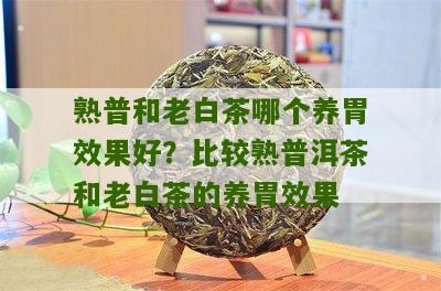 熟普和老白茶哪个养胃效果好？比较熟普洱茶和老白茶的养胃效果