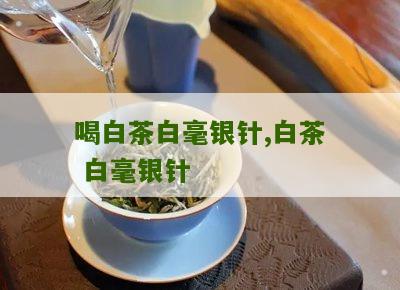 喝白茶白毫银针,白茶 白毫银针