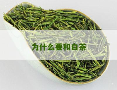 为什么要和白茶