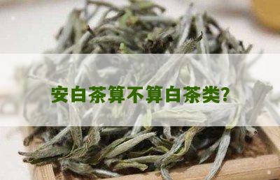 安白茶算不算白茶类？