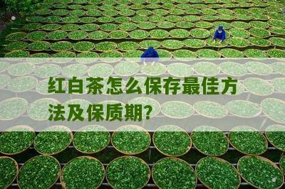 红白茶怎么保存最佳方法及保质期？