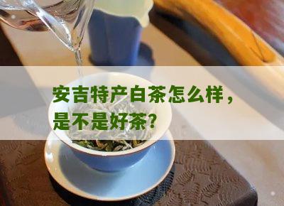 安吉特产白茶怎么样，是不是好茶？