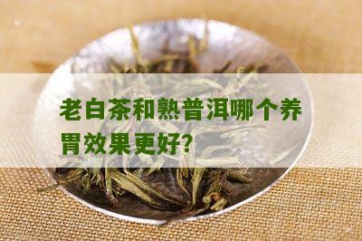 老白茶和熟普洱哪个养胃效果更好？