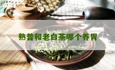 熟普和老白茶哪个养胃