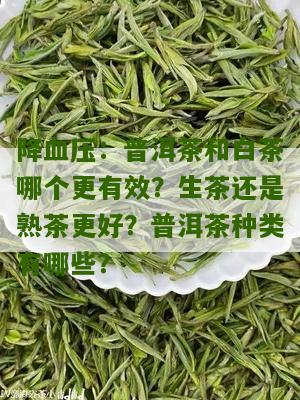 降血压：普洱茶和白茶哪个更有效？生茶还是熟茶更好？普洱茶种类有哪些？