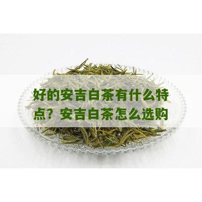 好的安吉白茶有什么特点？安吉白茶怎么选购