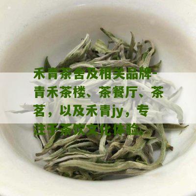 禾青茶舍及相关品牌-青禾茶楼、茶餐厅、茶茗，以及禾青jy，专注于茶饮文化体验。