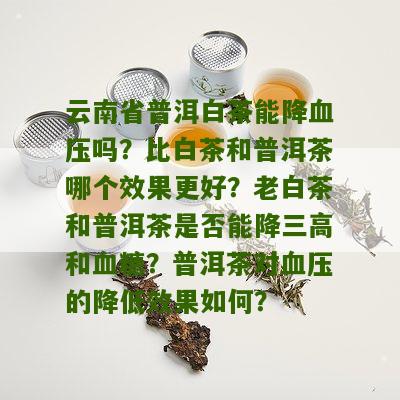 云南省普洱白茶能降血压吗？比白茶和普洱茶哪个效果更好？老白茶和普洱茶是否能降三高和血糖？普洱茶对血压的降低效果如何？