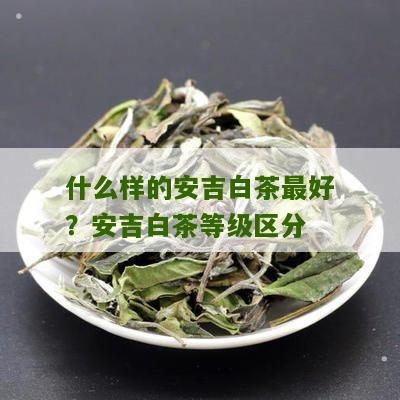 什么样的安吉白茶最好？安吉白茶等级区分