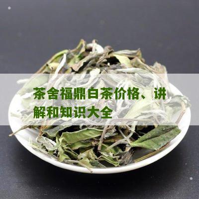 茶舍福鼎白茶价格、讲解和知识大全