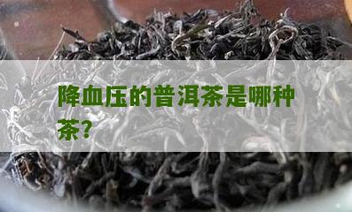 降血压的普洱茶是哪种茶？