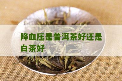 降血压是普洱茶好还是白茶好