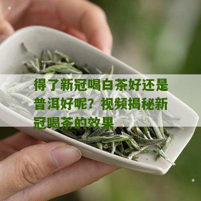 得了新冠喝白茶好还是普洱好呢？视频揭秘新冠喝茶的效果