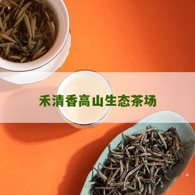 禾清香高山生态茶场