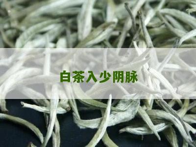 白茶入少阴脉