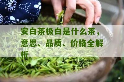 安白茶极白是什么茶，意思、品质、价格全解析