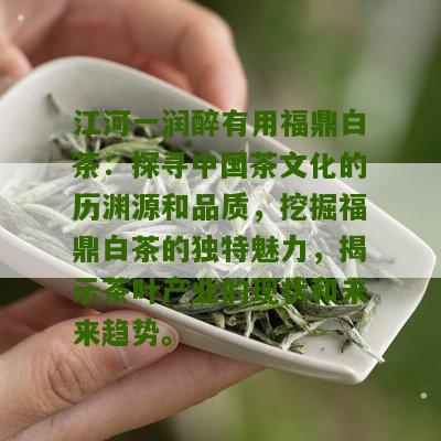 江河一润醉有用福鼎白茶：探寻中国茶文化的历渊源和品质，挖掘福鼎白茶的独特魅力，揭示茶叶产业的现状和未来趋势。