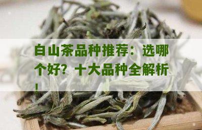 白山茶品种推荐：选哪个好？十大品种全解析！