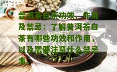 普洱茶白茶功效、作用及禁忌：了解普洱茶白茶有哪些功效和作用，以及需要注意什么禁忌事。