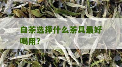 白茶选择什么茶具最好喝用？