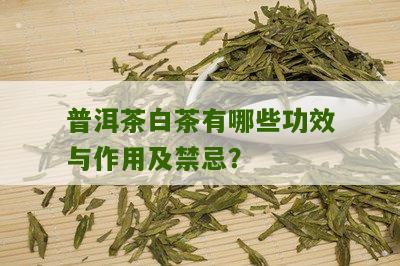 普洱茶白茶有哪些功效与作用及禁忌？