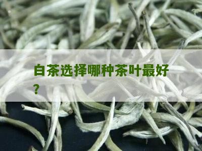 白茶选择哪种茶叶最好？