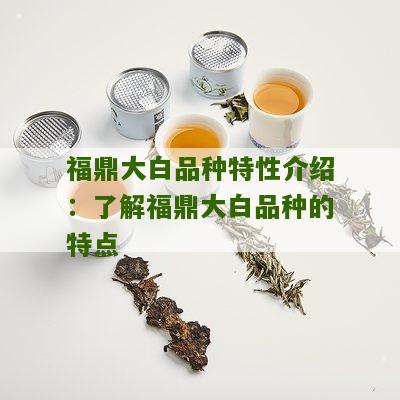 福鼎大白品种特性介绍：了解福鼎大白品种的特点