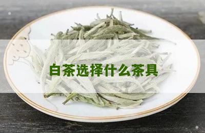 白茶选择什么茶具