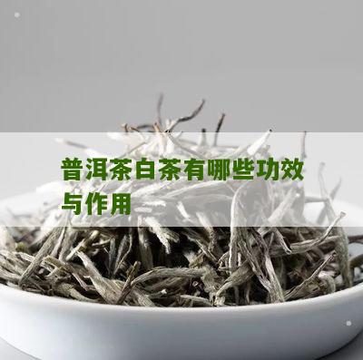 普洱茶白茶有哪些功效与作用