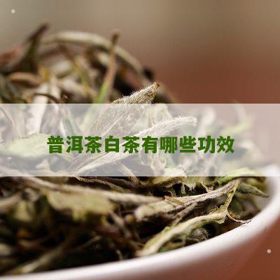 普洱茶白茶有哪些功效