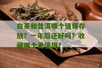 白茶和普洱哪个值得存放？一年后还好吗？收藏哪个更值得？