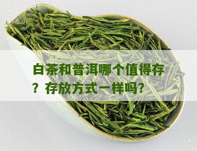 白茶和普洱哪个值得存？存放方式一样吗？