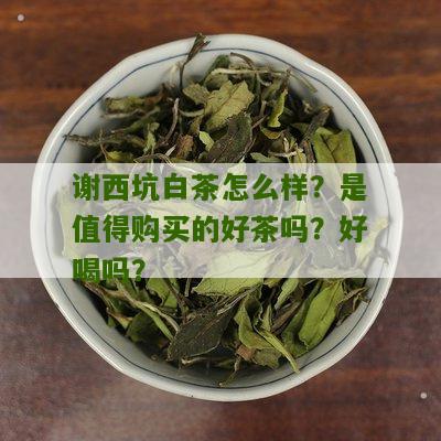 谢西坑白茶怎么样？是值得购买的好茶吗？好喝吗？