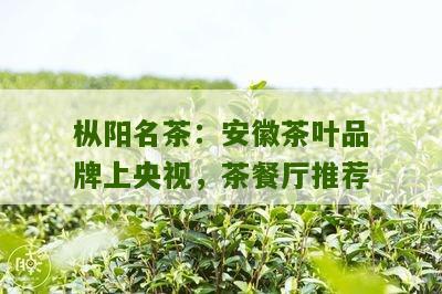 枞阳名茶：安徽茶叶品牌上央视，茶餐厅推荐