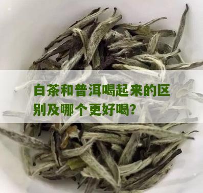 白茶和普洱喝起来的区别及哪个更好喝？