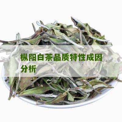 枞阳白茶品质特性成因分析