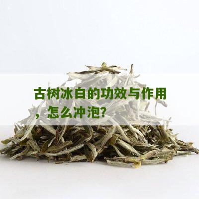 古树冰白的功效与作用，怎么冲泡？