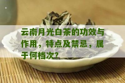 云南月光白茶的功效与作用，特点及禁忌，属于何档次？