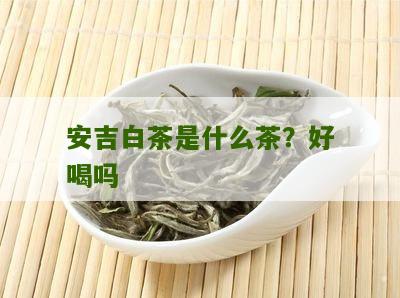 安吉白茶是什么茶？好喝吗